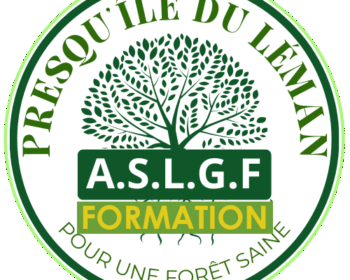 ASLGF FORMATION