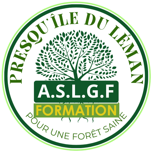 ASLGF FORMATION